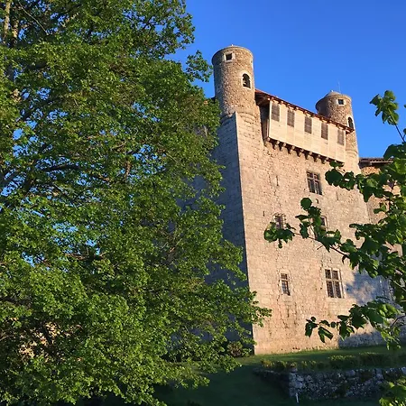 Chateau De Maisonseule 3*