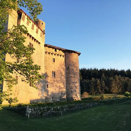 Chateau De Maisonseule Bed & Breakfast 3*