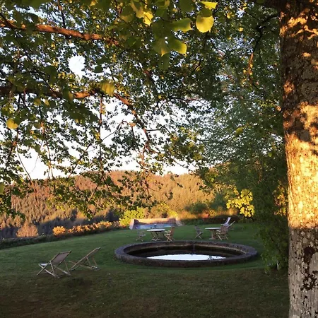 Chateau De Maisonseule