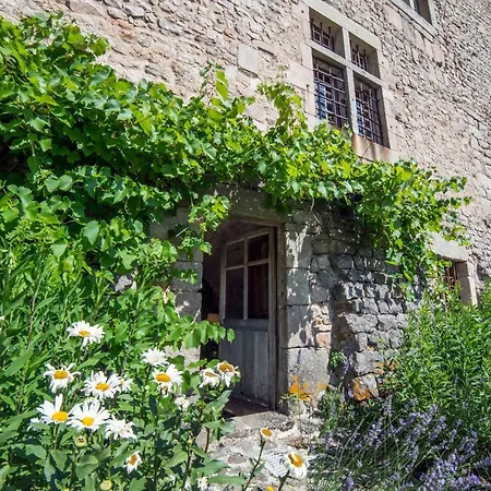 Chateau De Maisonseule Bed & Breakfast